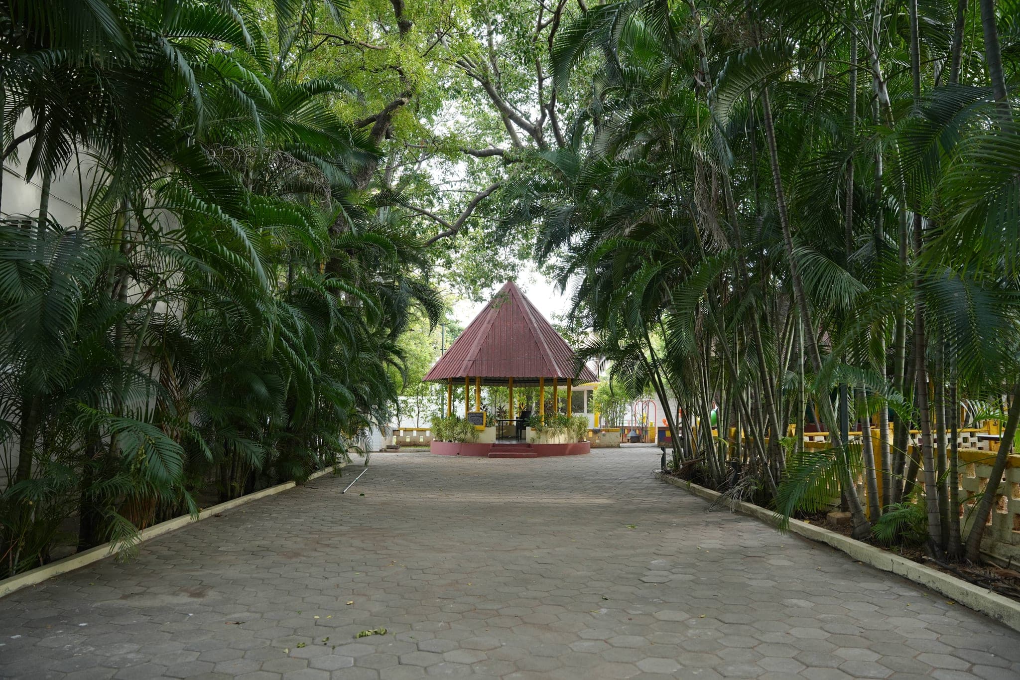 Canopy 1 & 2
