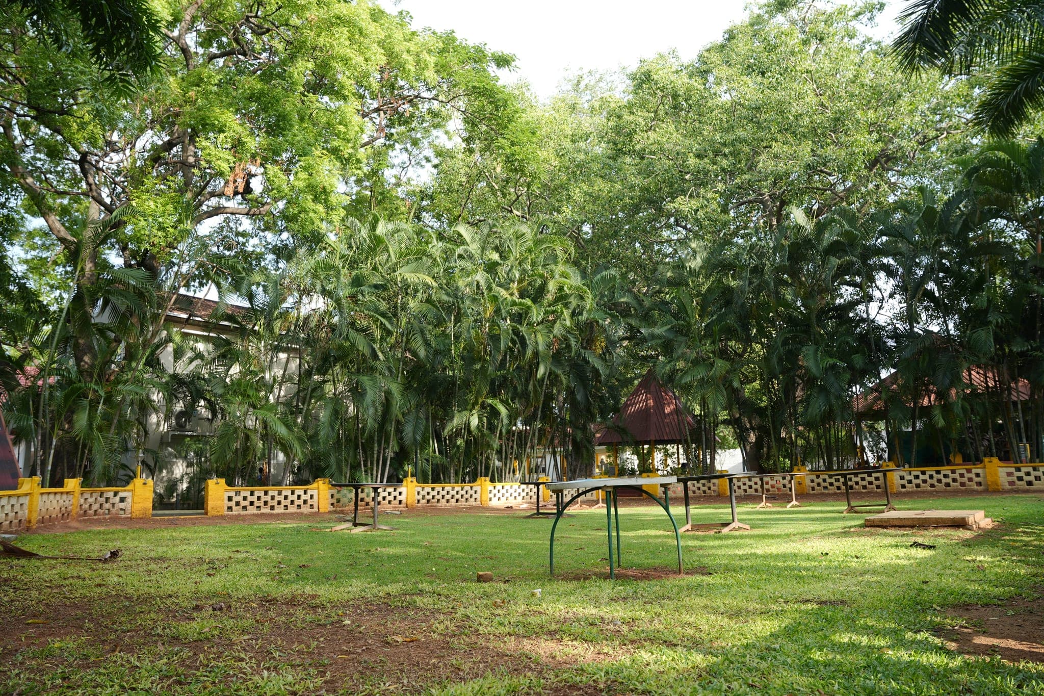 Main Lawn