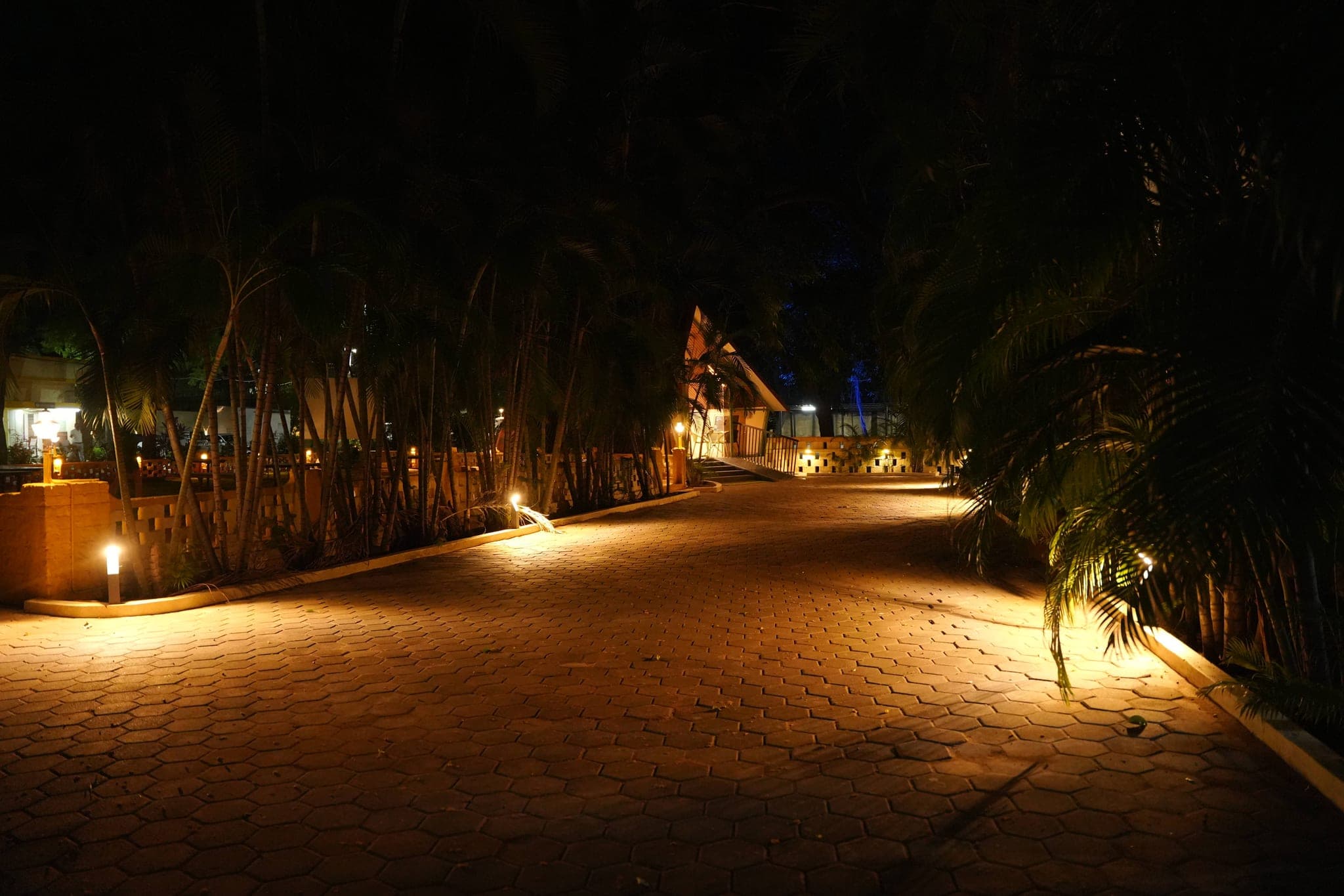 Green Pathways